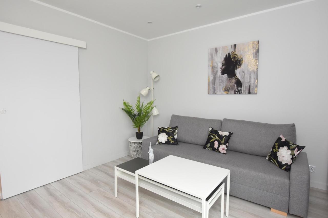 Dreamer Apartment Torun Bagian luar foto